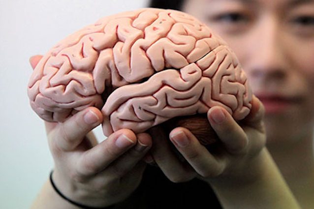 Anche il nostro cervello ha le “rughe”