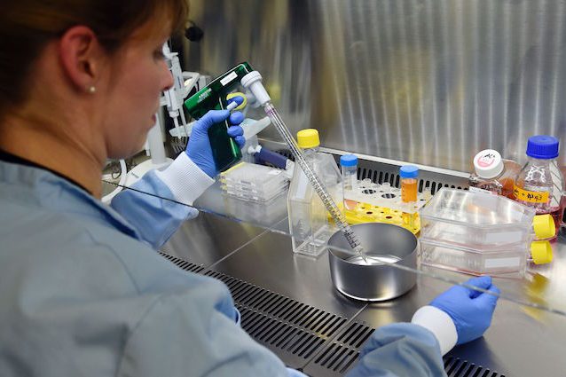 Ricerca italiana: scoperto come le cellule staminali “salvano” il cervello dopo un ictus