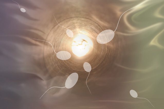 Crollano gli spermatozoi, a rischio estinzione la specie umana