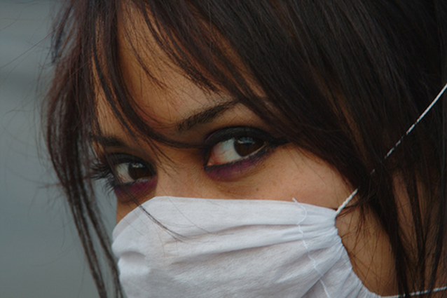 Nel 2009 l’Oms ha parlato di pandemia per l’influenza A H1N1, le cui varianti sono aviaria e suina