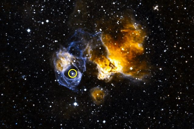 LMC_P3_1440x1080