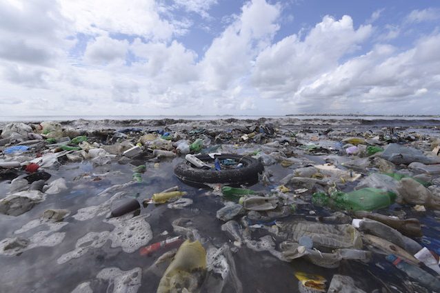 1,25 milioni di frammenti di plastica nel nostro Mediterraneo: ecco come l'abbiamo ridotto