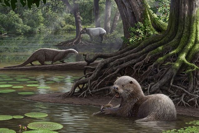 Lontra gigante cover