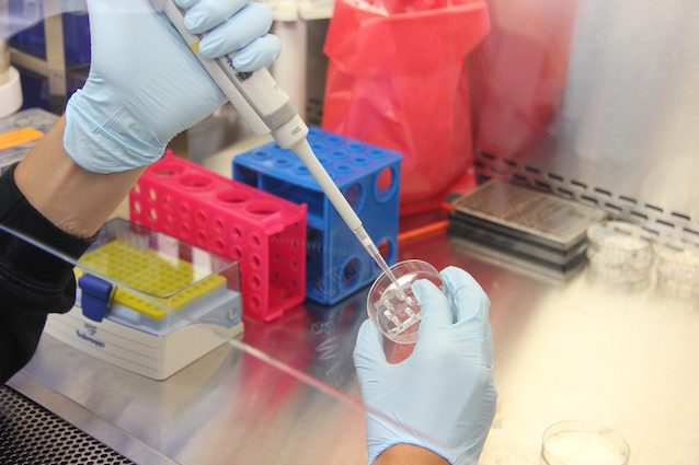 I ricercatori italiani hanno creato la super molecola che sconfigge l’ebola e l’aviaria