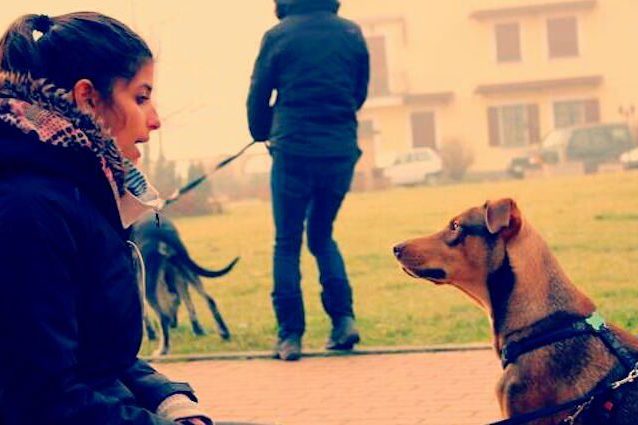 Guardati allo specchio! Se il tuo cane è mezzo matto è colpa tua: ecco perché