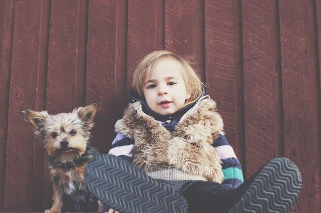 Bambini e cani sono simili quando si parla di intelligenza sociale