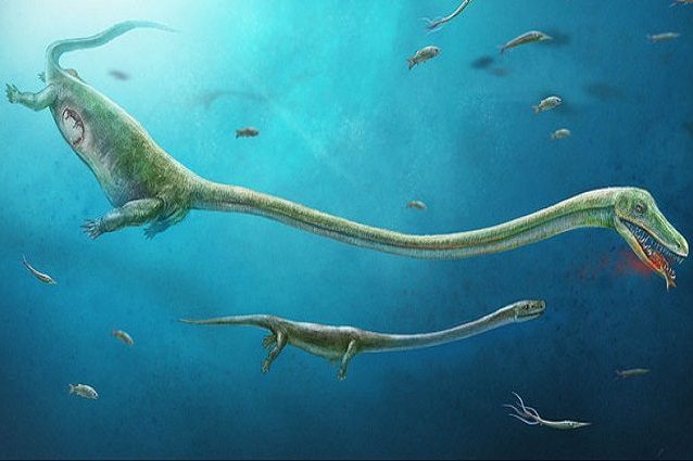 dino cover
