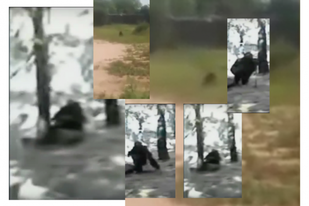 Un confronto fotografico tra il goblin recentemente avvistato e il ben più noto gnomo armato d'ascia, emblema dei video-fake sul tema.