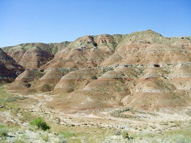 Il sito in Wyoming dove sono stati recuperati i fossili