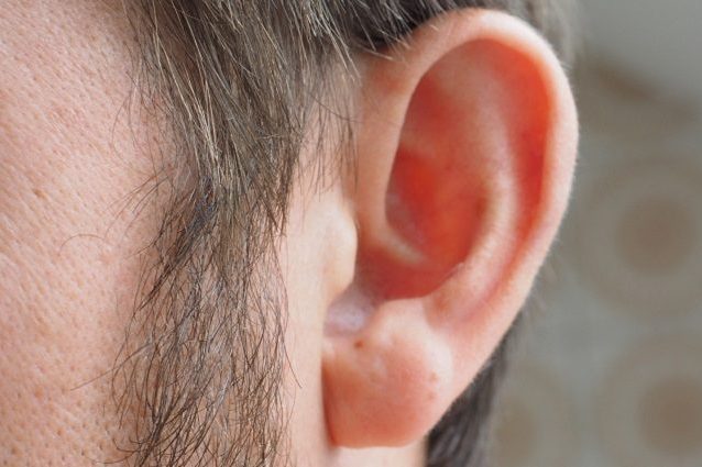 ear-1355652_1920