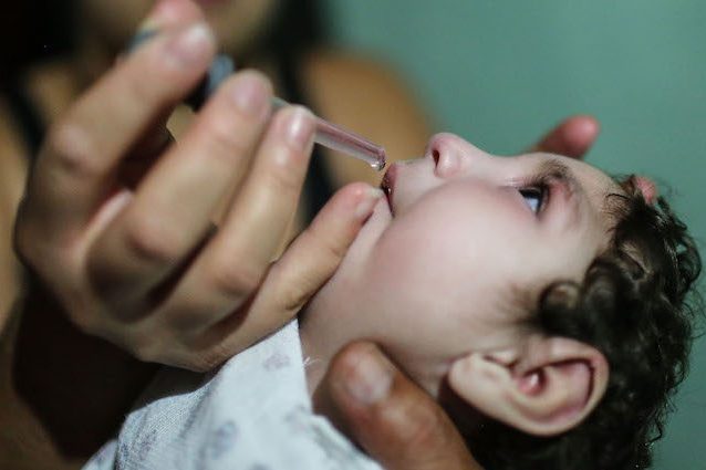 Al San Raffaele di Milano, scoperta la 'porta di accesso' del virus Zika: così infetta il feto