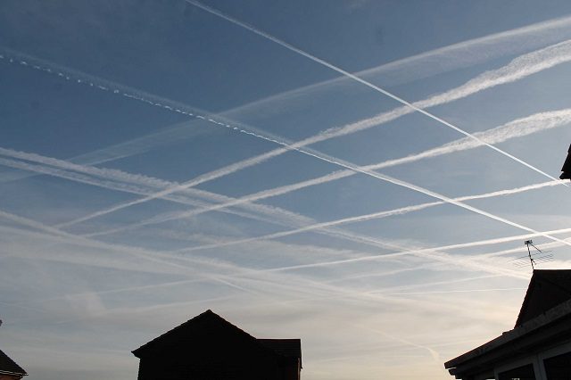 Homomutatus - George Anderson https://www.wmocloudatlas.org/homomutatus.html
