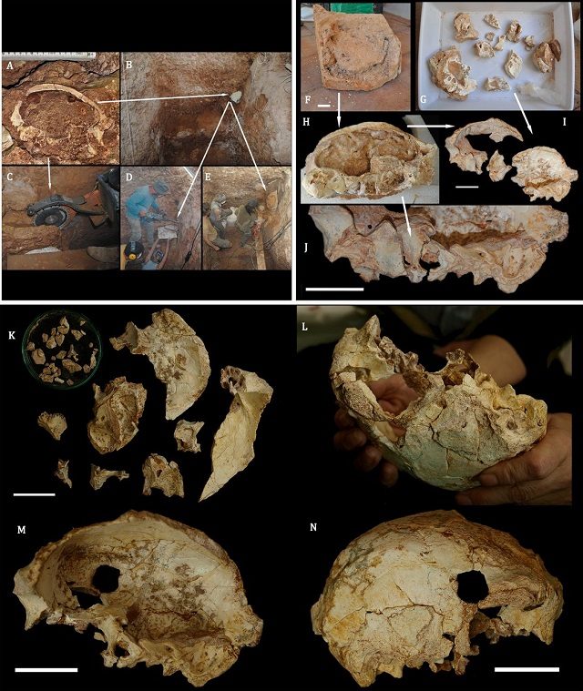 Il sito di scavo e i dettagli del cranio