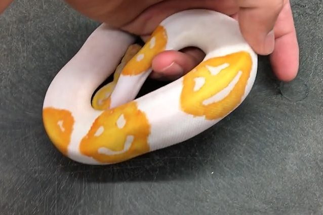 ser