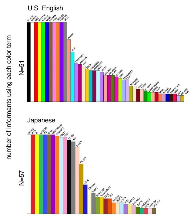 Immagine di Università dell'Ohio http://jov.arvojournals.org/article.aspx?articleid=2608579