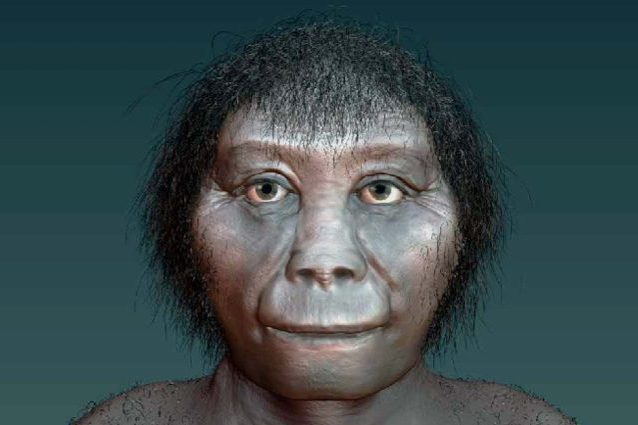 Gli Hobbit sono 'esistiti' e vivevano in Indonesia: scoperto da chi si sono evoluti