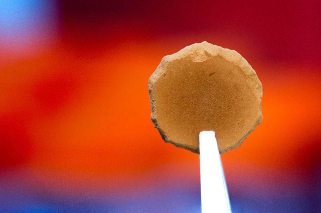 I mattoni ottenuti dai ricercatori sono ancora molto sottili