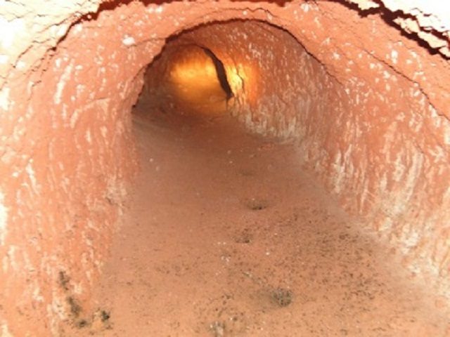Credit: CRPM http://www.cprm.gov.br/publique/Noticias/CPRM-descobre-tunel-de-animais-extintos-na-regiao-de-Rondonia-e-Amazonia-3959.html