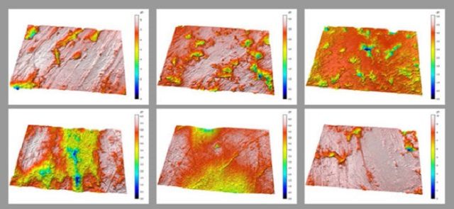 L'analisi dell'usura dei denti dimostra che i leoni non consumavano le ossa: credit vanderbilt univeristy