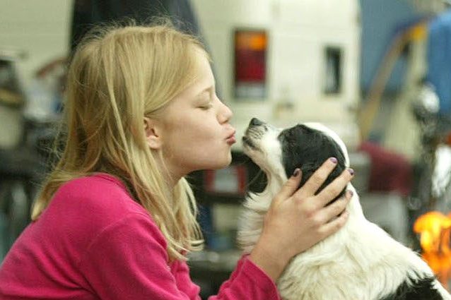 I cani fanno bene alla salute dei bambini: fortificano i batteri contro allergie e obesità