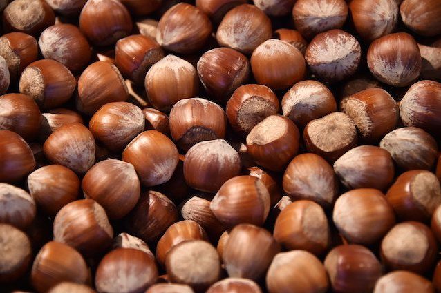 Nutella, ma che fine fanno i gusci delle nocciole? Ferrero svela il 'tesssoro' Axos: cos'è