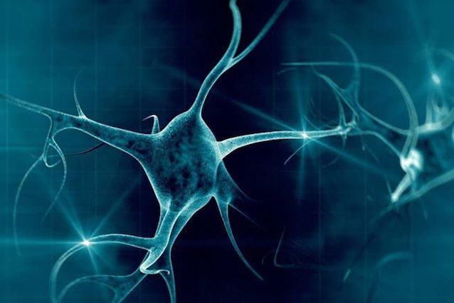 Scoperta in Italia la proteina che predice l'aggravarsi della Sla: cos'è la C-reattiva