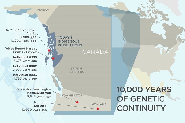La continuità genetica dellee popolazioni nordamericane durata 10mila anni: credit Università dell'Illinois https://news.illinois.edu/blog/view/6367/483675#image-2