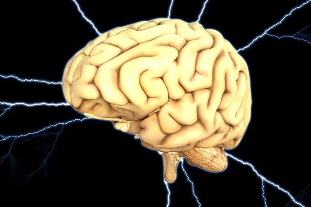 Il cervello delle donne è più attivo di quello degli uomini: come influenza il comportamento
