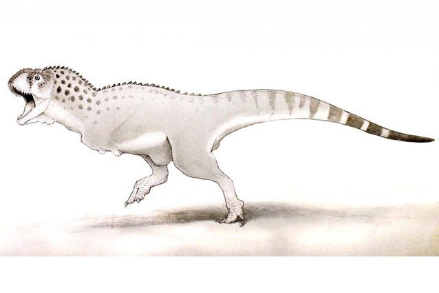 Scoperto l'ultimo dinosauro vissuto in Africa: la specie fu spazzata via dall'asteroide
