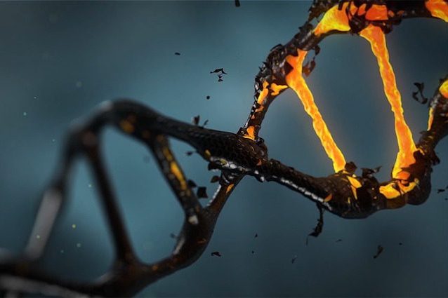Per la prima volta, sconfitto l'HIV negli animali con l'editing genetico: come hanno fatto