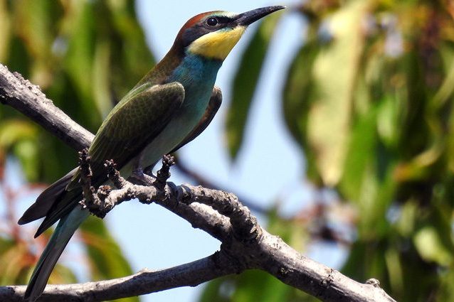 Giornata della biodiversità: il turismo può essere un'arma a doppio taglio per il Pianeta