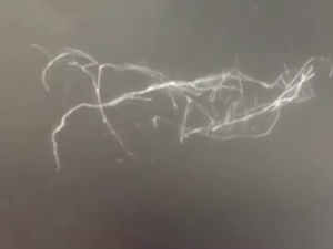 Filamenti misteriosi piovono dal cielo e scompaiono se li tocchi. Ecco cosa sono