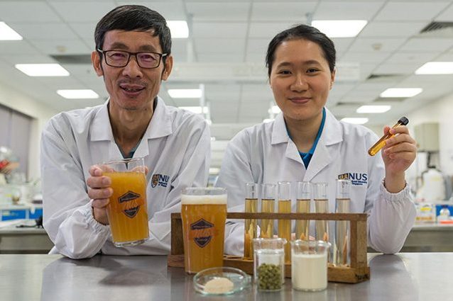 Birra probiotica che fa bene all'intestino: la scoperta arriva da Singapore