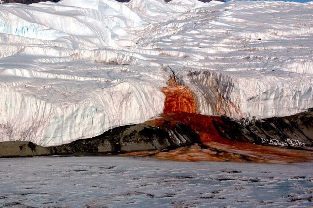 Le cascate di sangue: credit National Science Foundation/Peter Rejcek