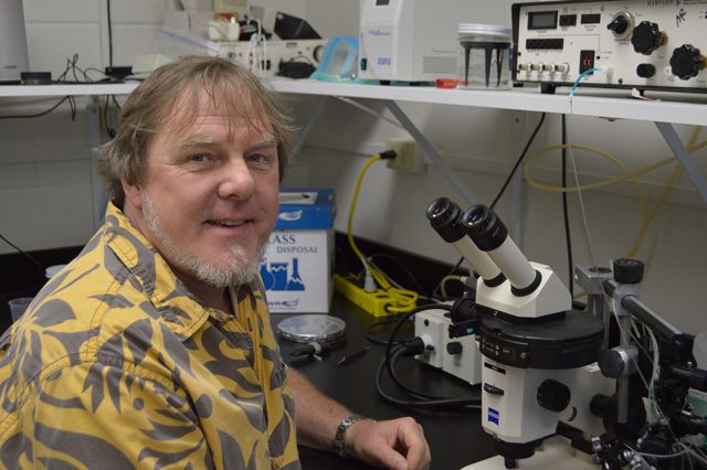 Il dottor Mark Martindale: credit University of Florida, Eric Rottinger, Whitney Lab Marine Bioscience