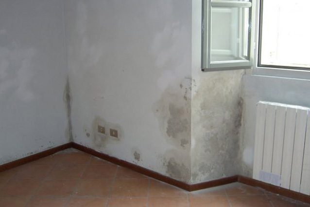 La muffa sulle pareti di casa fa male: sintomi della sindrome dell'edificio malato