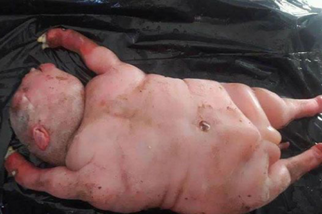 E' nato il figlio del demonio? La foto è vera, ma la spiegazione è diversa