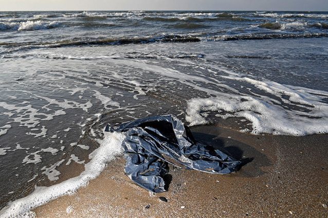 I batteri marini stanno iniziando a nutrirsi di plastica e, forse, ci stanno salvando