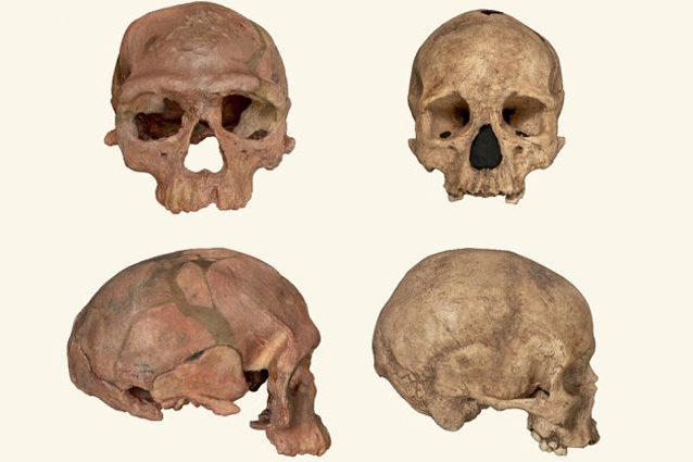 Riscritta l'origine della nostra specie: l'Homo sapiens è più antico di 100mila anni