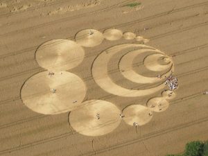 Cerchi nel grano, ecco perché si tratta sempre di ingegno umano