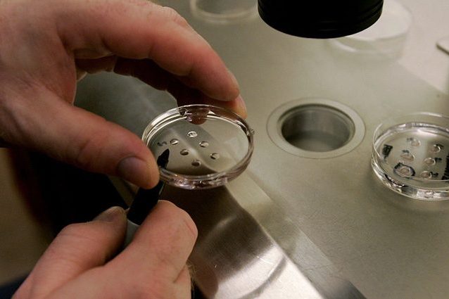 Choc negli USA, creati i primi embrioni umani geneticamente modificati. Sono senza errori