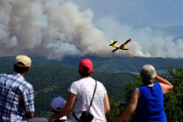 Incendi, Italia avvolta dalle fiamme: in un mese persi gli ettari di boschi dell'intero 2016