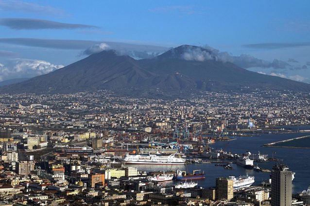 Vesuvio, incendio devastante: animali e piante a rischio. Ecco chi popola il parco