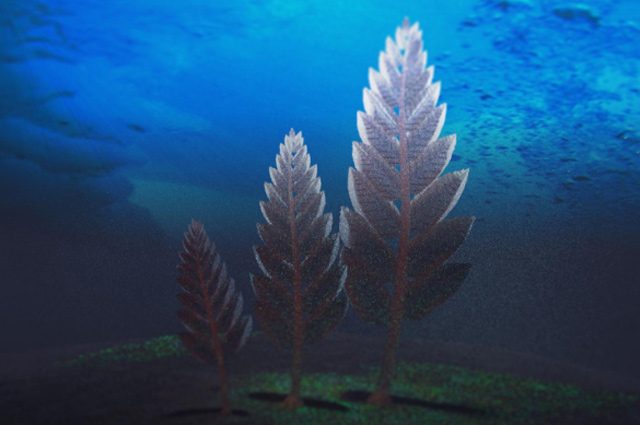 La ricostruzione di un rangeomorfo: credit Jennifer Hoyal Cuthill