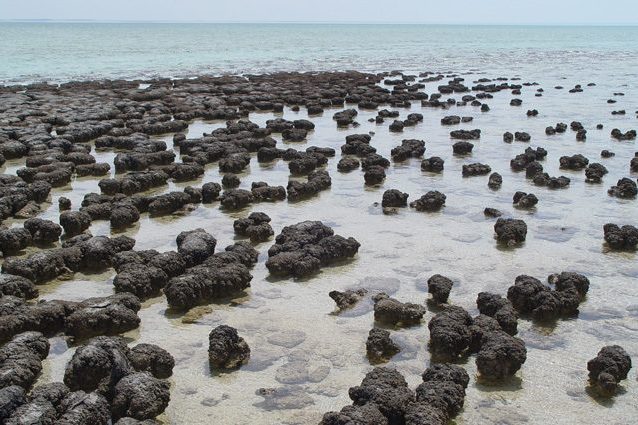 Sulla terra e non in mare, nuove scoperte sulle origini della vita