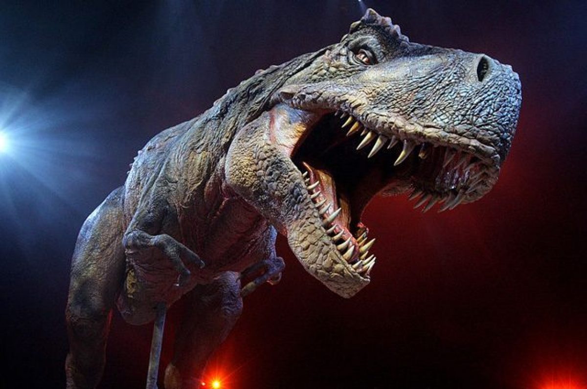 Come Si Difendeva Il T Rex