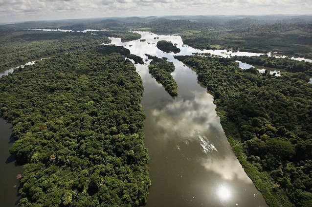 Foresta Amazzonica salva: stop allo sfruttamento minerario (per ora)