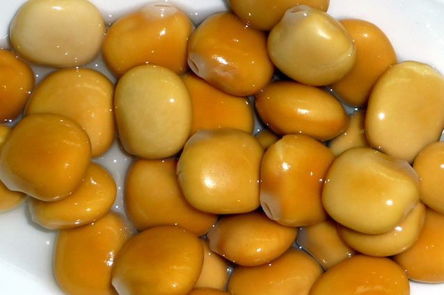Diabete, i lupini sono meglio dei farmaci: controllano i livelli di glucosio nel sangue
