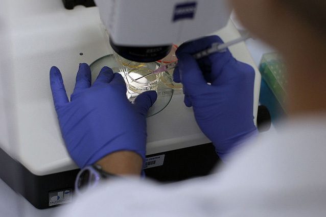 Cancro, i segreti del “guardiano del genoma” svelati da italiani: possibili nuove terapie
