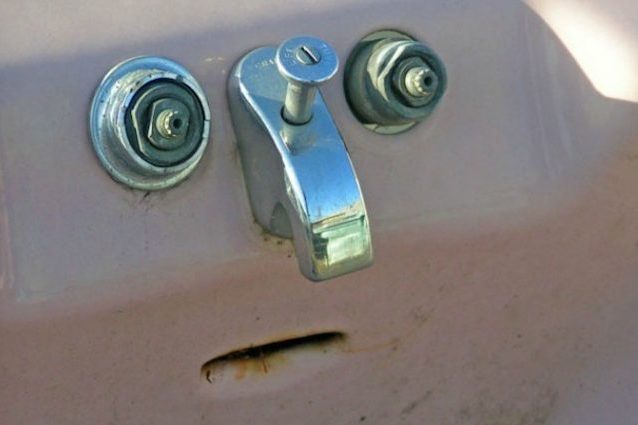 Anche i macachi vedono facce negli oggetti: cos'è l'illusione pareidolia